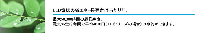 電球の省エネ・長寿命は当たり前。