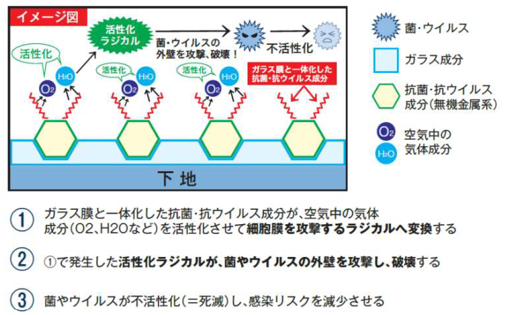 抗菌・抗ウイルスのメカニズムの解説イラスト