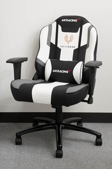 AKRacing MJ Grey JPML 正面