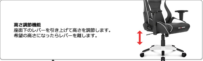 ゲーミングチェア AKRacing(エーケーレーシング) AKRacing Pro-X