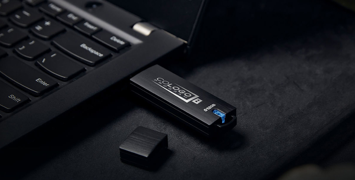 共通ロゴオプションを表示している Kingston D500S 暗号化 USB フラッシュドライブ