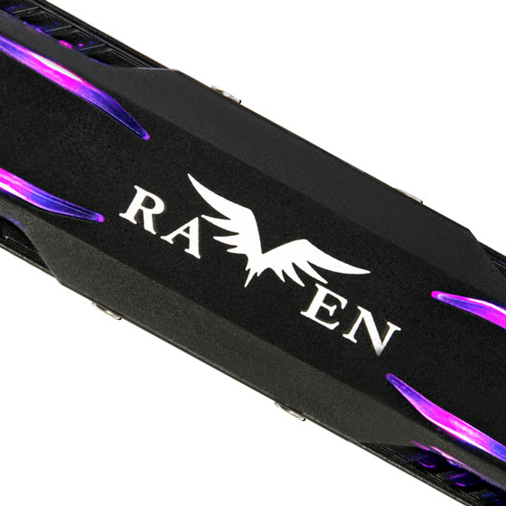 Closeup view of RAVEN logo 