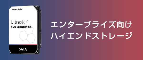 エンタープライズ向けハイエンドストレージ。