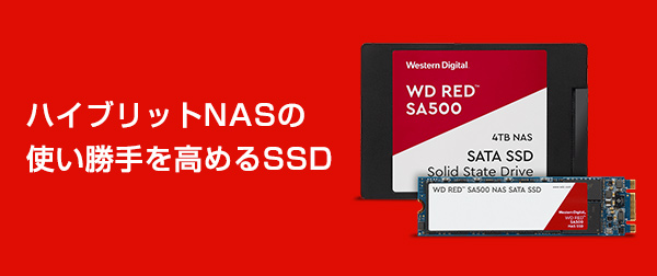 WD 10 SDZW HANT 2BB27 JUN 2018 Western Digital 11 UMGS 0DCM 