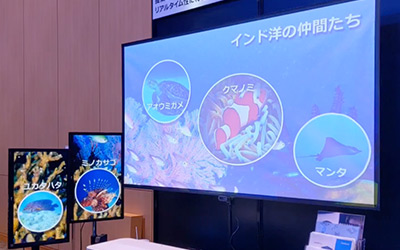 海洋生物に関する説明を表示している普通のディスプレイ。