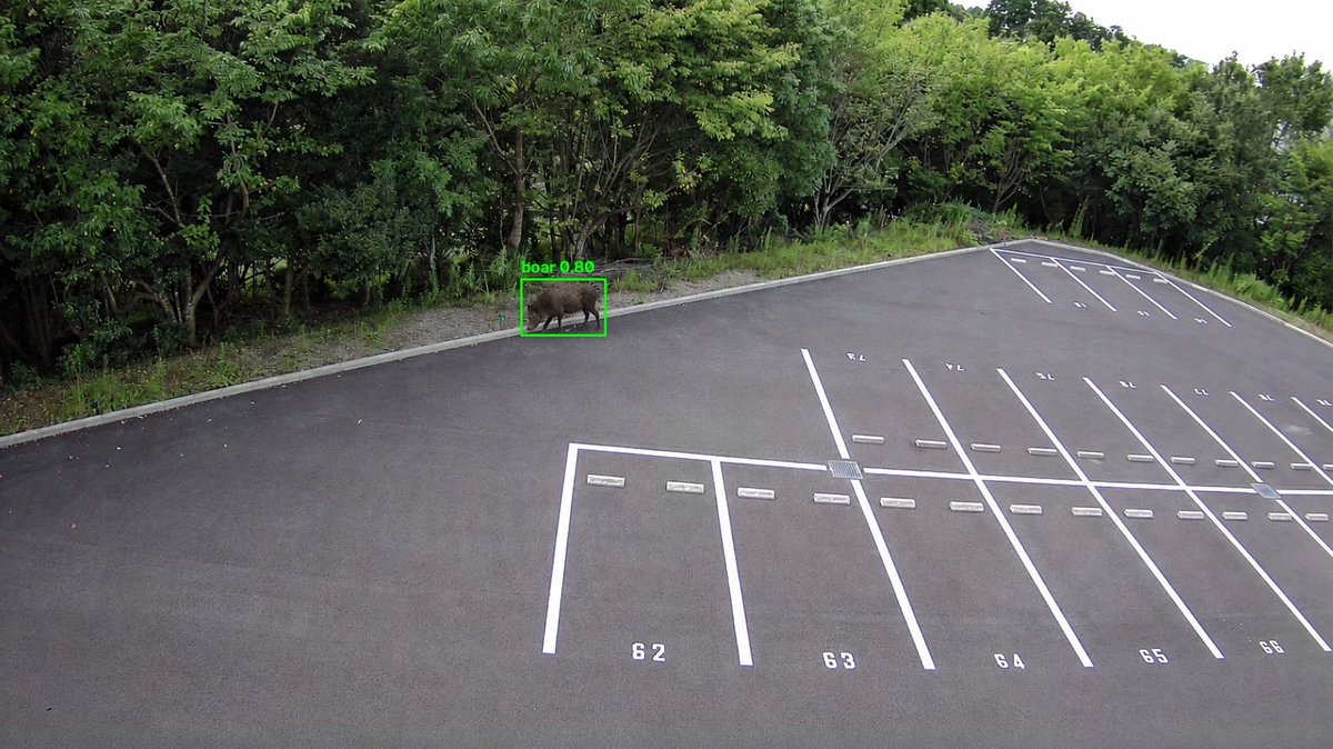 イノシシを検知した際のカメラ映像の表示イメージ。対象が枠で囲まれ判定結果が表示されている