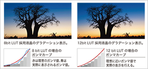 滑らかなグラデーション表示