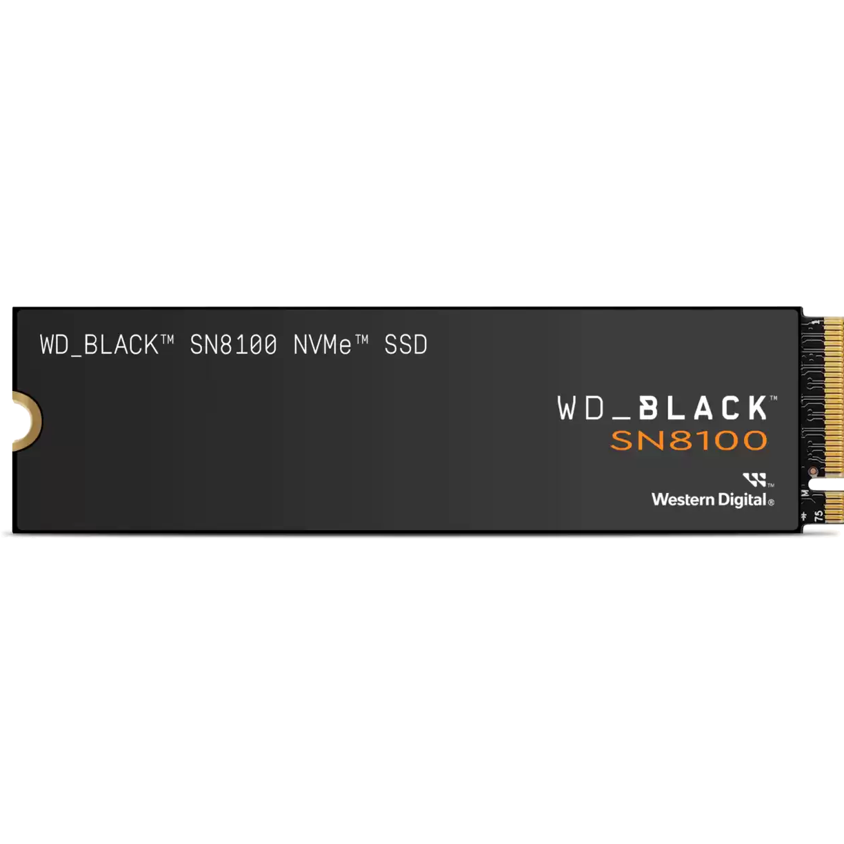 WD_BLACK SN8100 NVMe SSD｜テックウインド株式会社