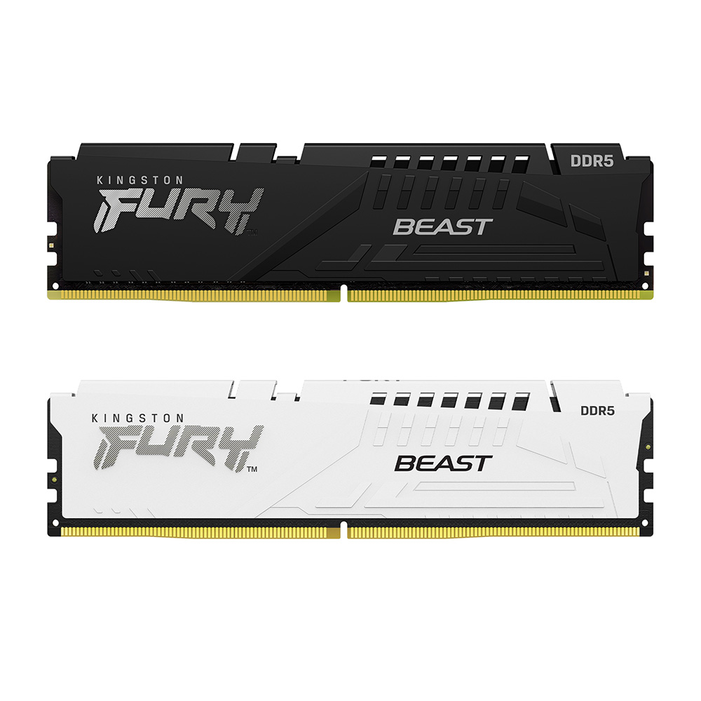 Kingston FURY™ Beast DDR5 メモリー｜テックウインド株式会社
