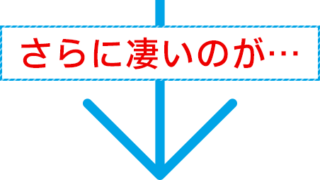 さらに凄いのが…