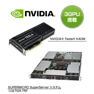 【プロモデル】Tesla搭載 3GPU搭載 １U HPCシステム