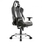 AKRacing Premium オフィスチェア (シルバー)