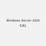 Windows Server 2025 CAL 英語版