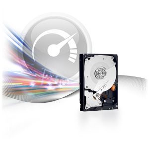 WD1002FAEX