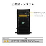 製品写真